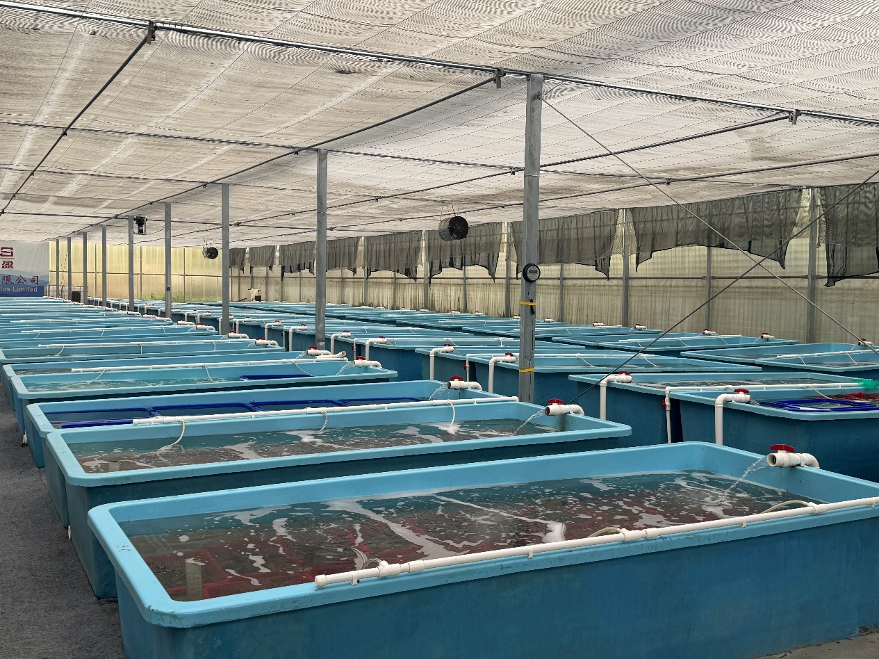 Farm facility