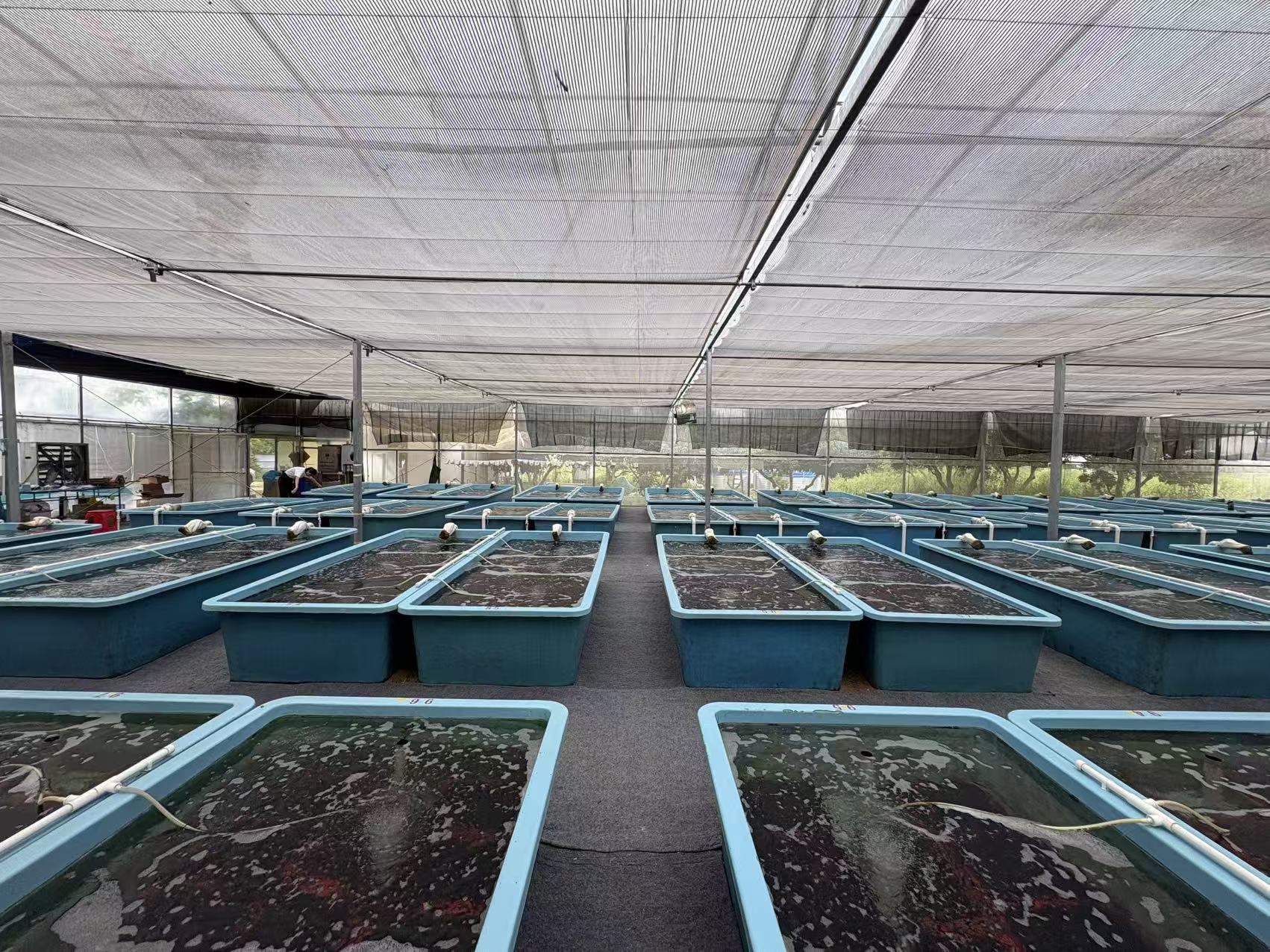 Farm greenhouse